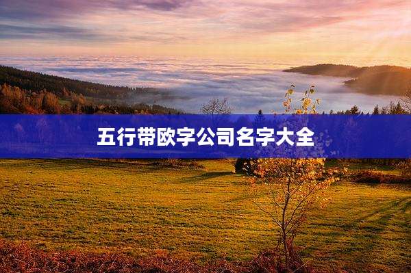 五行带欧字公司名字大全