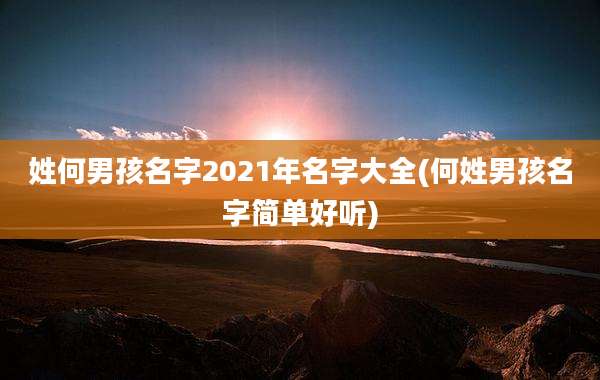 姓何男孩名字2021年名字大全(何姓男孩名字简单好听)