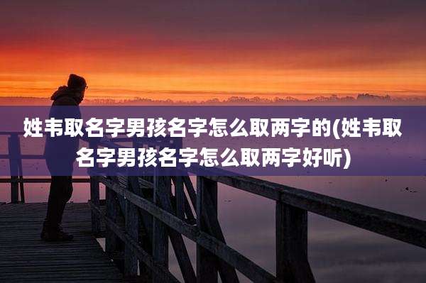 姓韦取名字男孩名字怎么取两字的(姓韦取名字男孩名字怎么取两字好听)