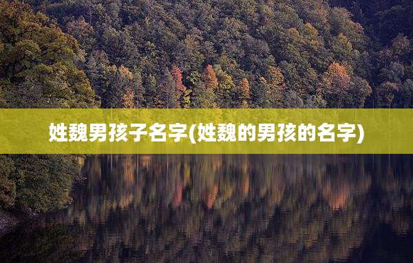 姓魏男孩子名字(姓魏的男孩的名字)