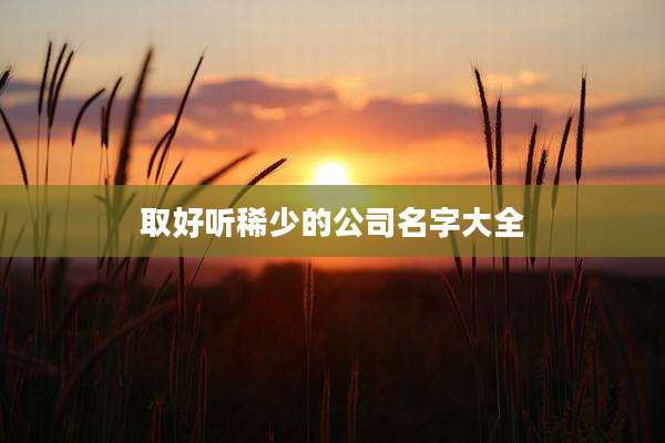 取好听稀少的公司名字大全