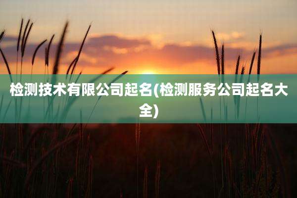 检测技术有限公司起名(检测服务公司起名大全)