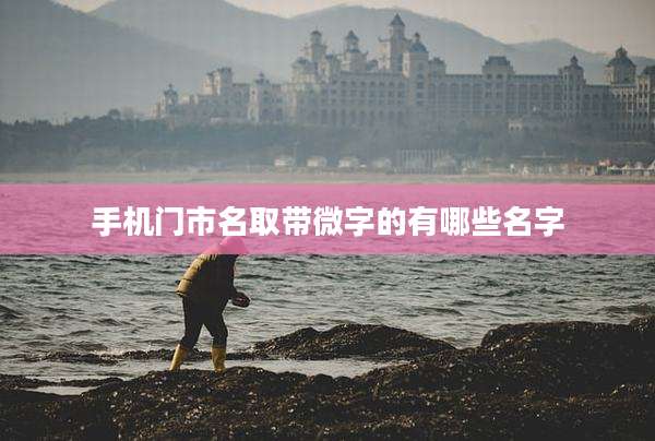 手机门市名取带微字的有哪些名字