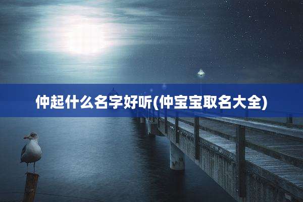 仲起什么名字好听(仲宝宝取名大全)