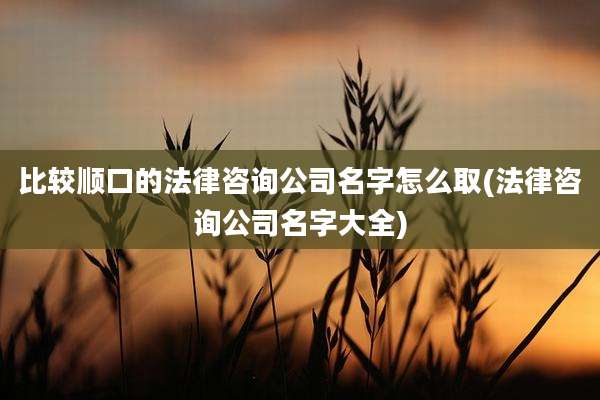 比较顺口的法律咨询公司名字怎么取(法律咨询公司名字大全)