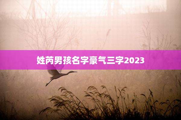 姓芮男孩名字豪气三字2023