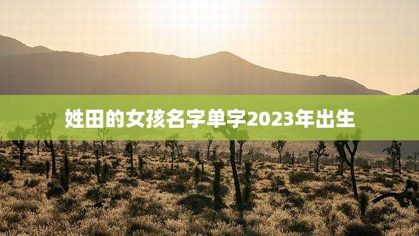 姓田的女孩名字单字2023年出生