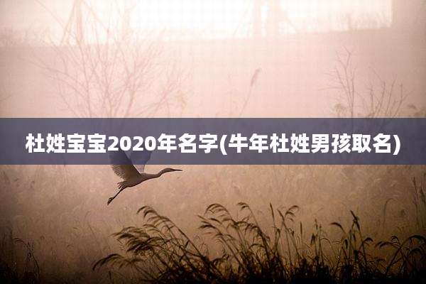 杜姓宝宝2020年名字(牛年杜姓男孩取名)