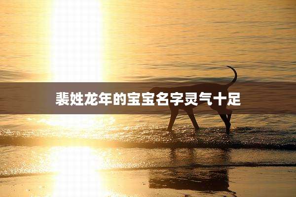 裴姓龙年的宝宝名字灵气十足