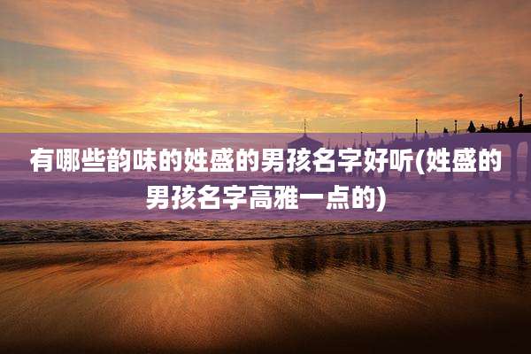 有哪些韵味的姓盛的男孩名字好听(姓盛的男孩名字高雅一点的)