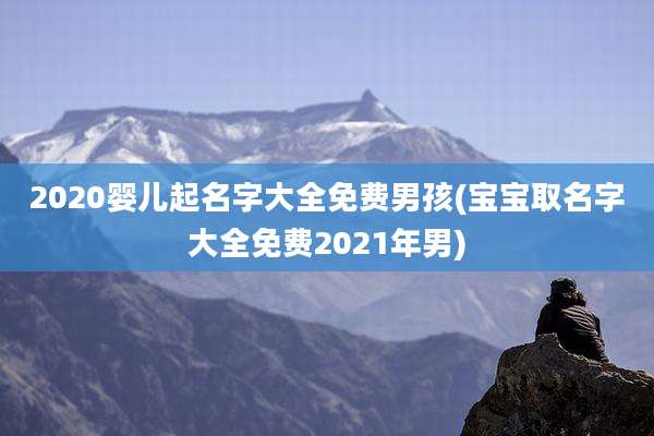 2020婴儿起名字大全免费男孩(宝宝取名字大全免费2021年男)