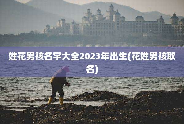 姓花男孩名字大全2023年出生(花姓男孩取名)