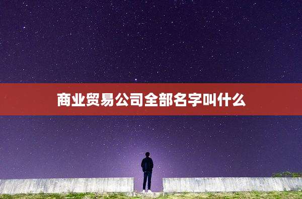 商业贸易公司全部名字叫什么