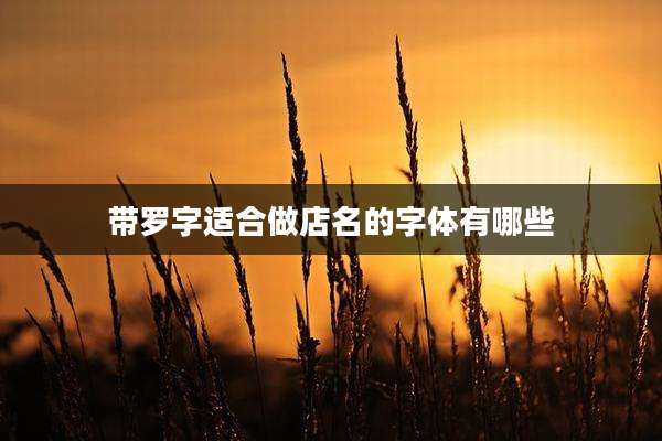 带罗字适合做店名的字体有哪些