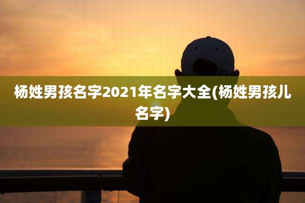 杨姓男孩名字2021年名字大全(杨姓男孩儿名字)