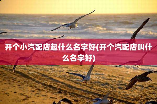 开个小汽配店起什么名字好(开个汽配店叫什么名字好)