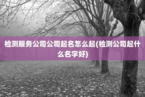 检测服务公司公司起名怎么起(检测公司起什么名字好)