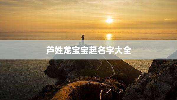 芦姓龙宝宝起名字大全
