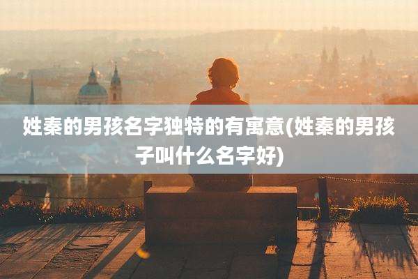 姓秦的男孩名字独特的有寓意(姓秦的男孩子叫什么名字好)