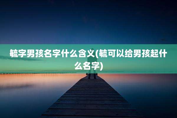 毓字男孩名字什么含义(毓可以给男孩起什么名字)