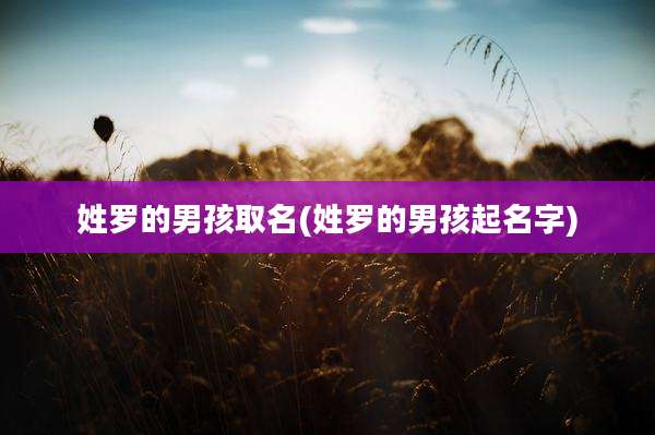 姓罗的男孩取名(姓罗的男孩起名字)