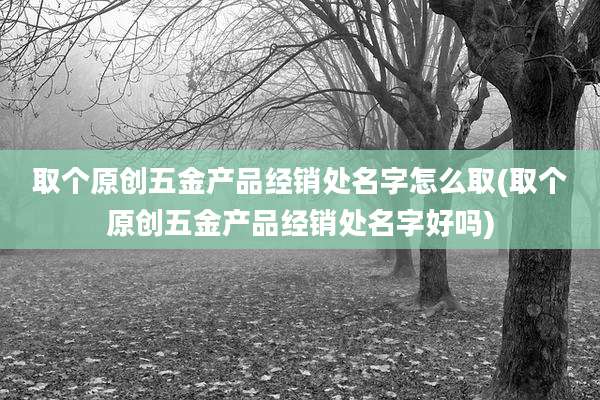 取个原创五金产品经销处名字怎么取(取个原创五金产品经销处名字好吗)