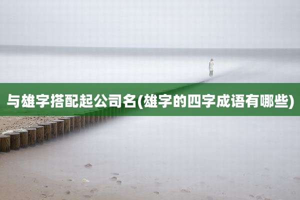 与雄字搭配起公司名(雄字的四字成语有哪些)