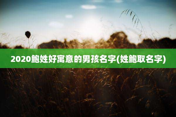 2020鲍姓好寓意的男孩名字(姓鲍取名字)