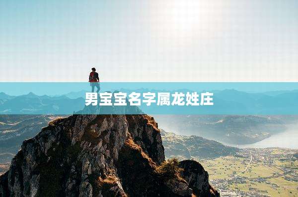 男宝宝名字属龙姓庄