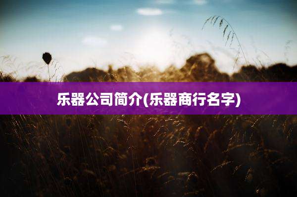 乐器公司简介(乐器商行名字)
