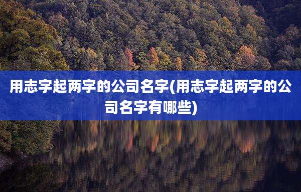 用志字起两字的公司名字(用志字起两字的公司名字有哪些)