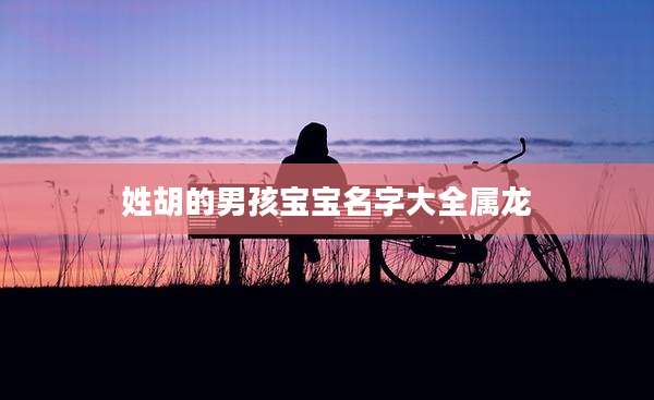 姓胡的男孩宝宝名字大全属龙