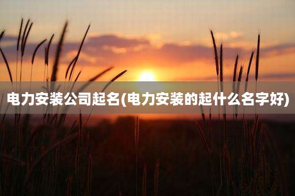 电力安装公司起名(电力安装的起什么名字好)