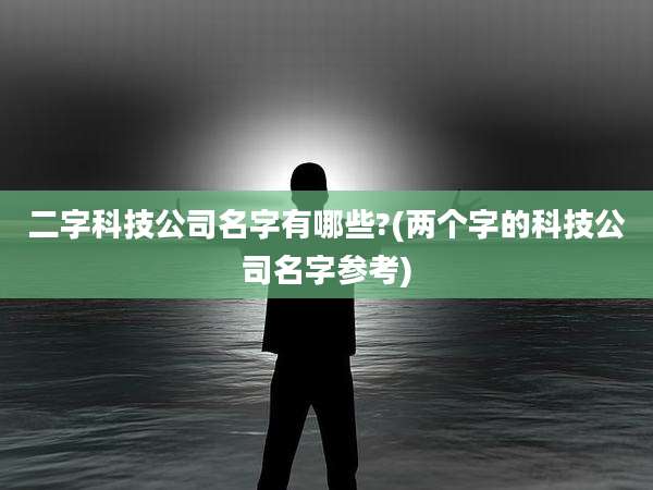 二字科技公司名字有哪些?(两个字的科技公司名字参考)