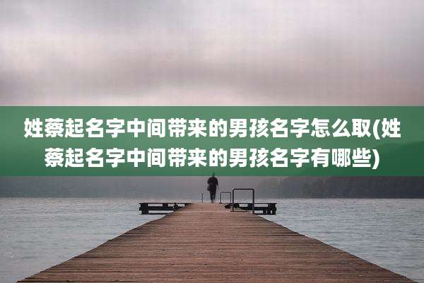 姓蔡起名字中间带来的男孩名字怎么取(姓蔡起名字中间带来的男孩名字有哪些)