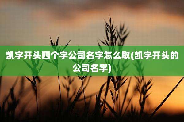 凯字开头四个字公司名字怎么取(凯字开头的公司名字)
