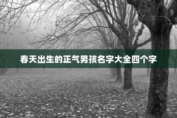 春天出生的正气男孩名字大全四个字