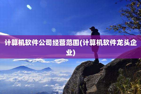计算机软件公司经营范围(计算机软件龙头企业)