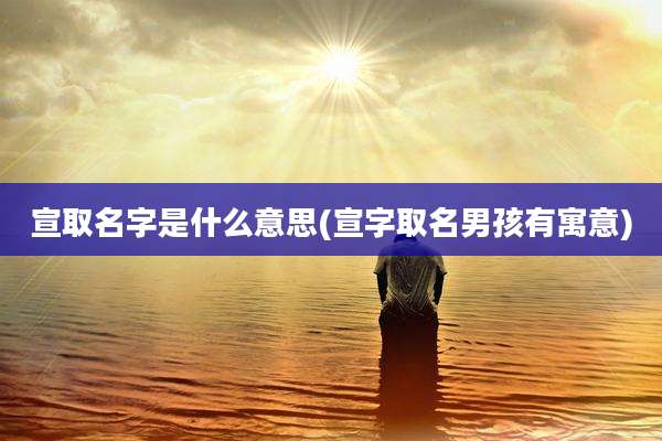 宣取名字是什么意思(宣字取名男孩有寓意)