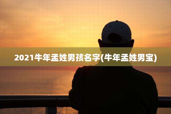 2021牛年孟姓男孩名字(牛年孟姓男宝)