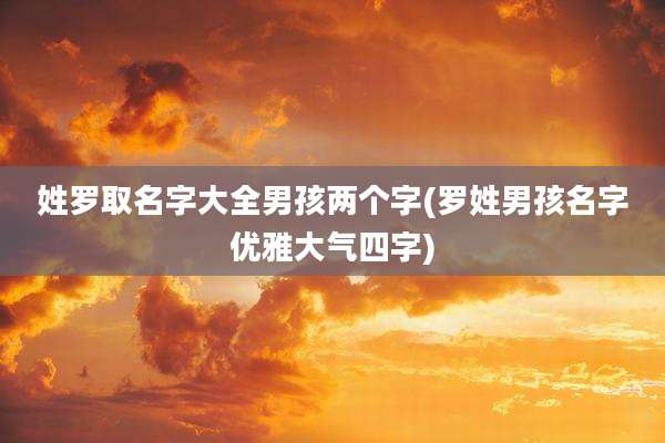 姓罗取名字大全男孩两个字(罗姓男孩名字优雅大气四字)
