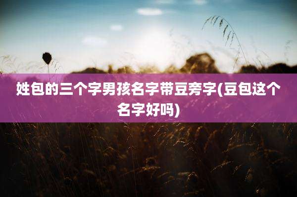 姓包的三个字男孩名字带豆旁字(豆包这个名字好吗)
