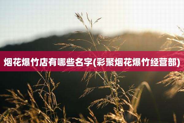 烟花爆竹店有哪些名字(彩聚烟花爆竹经营部)