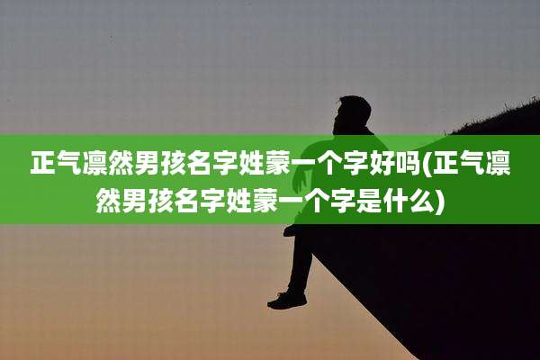 正气凛然男孩名字姓蒙一个字好吗(正气凛然男孩名字姓蒙一个字是什么)