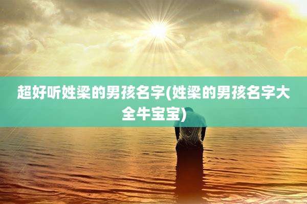 超好听姓梁的男孩名字(姓梁的男孩名字大全牛宝宝)