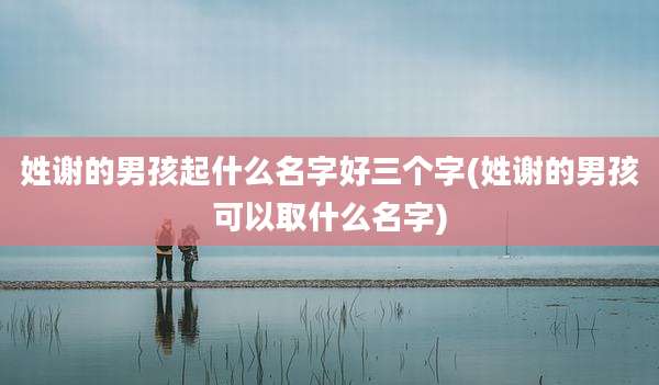 姓谢的男孩起什么名字好三个字(姓谢的男孩可以取什么名字)