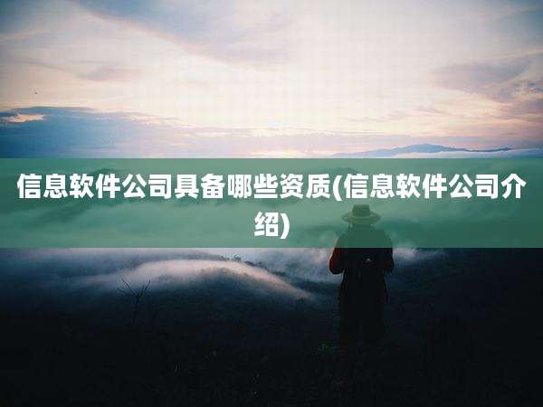 信息软件公司具备哪些资质(信息软件公司介绍)