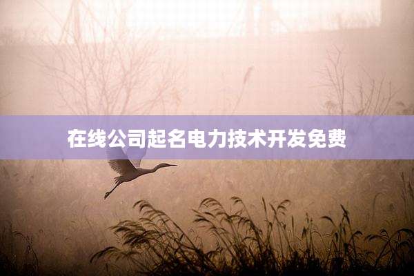 在线公司起名电力技术开发免费