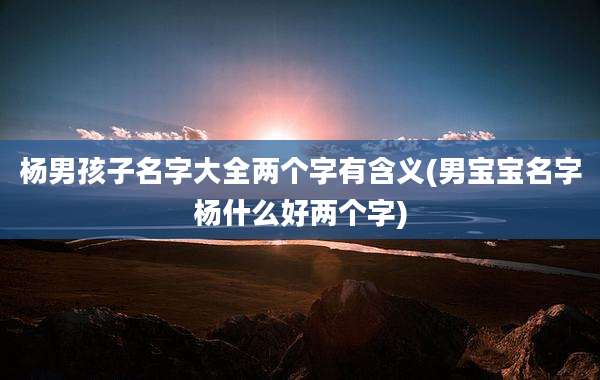 杨男孩子名字大全两个字有含义(男宝宝名字杨什么好两个字)