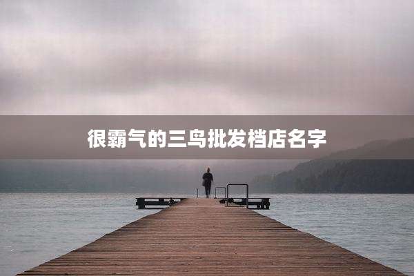 很霸气的三鸟批发档店名字